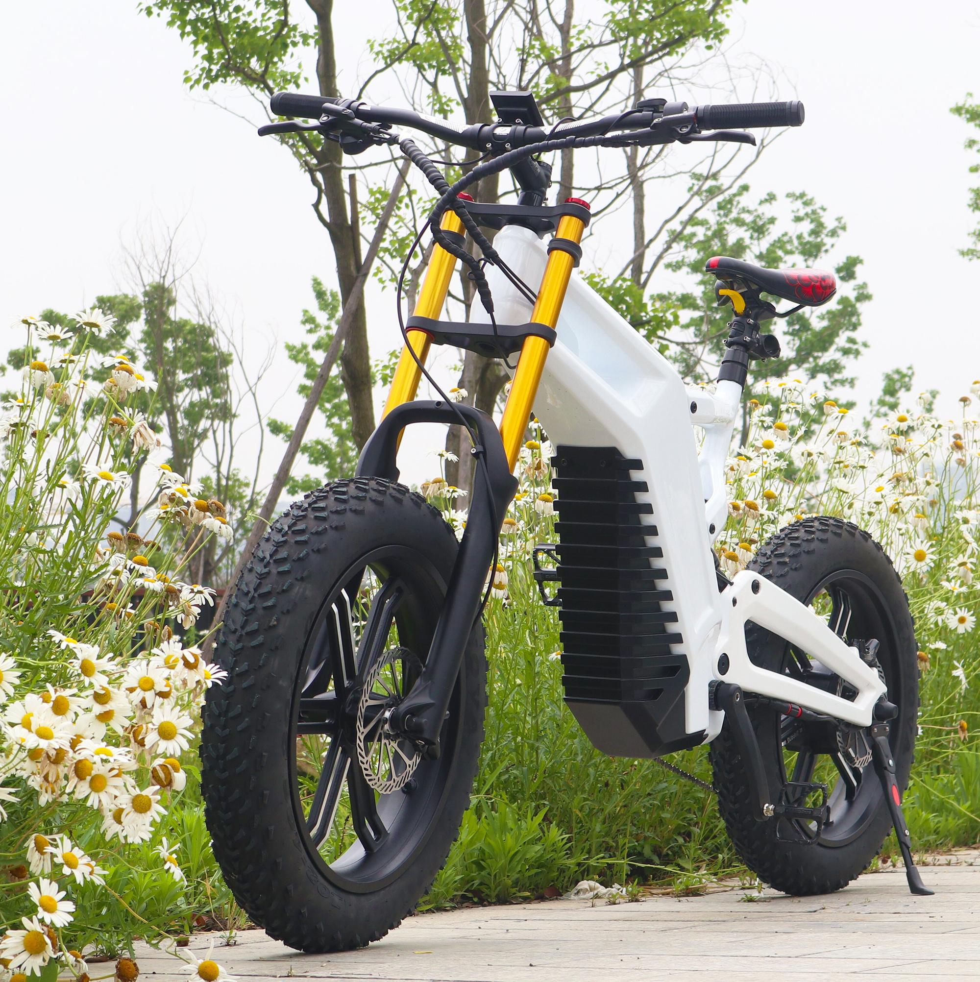 Fatbike Electrica 1000/3000W Vintage Electric Motorcycle Hot Sale 24.5Ah full suspension Carbon electric bike fat tires bike