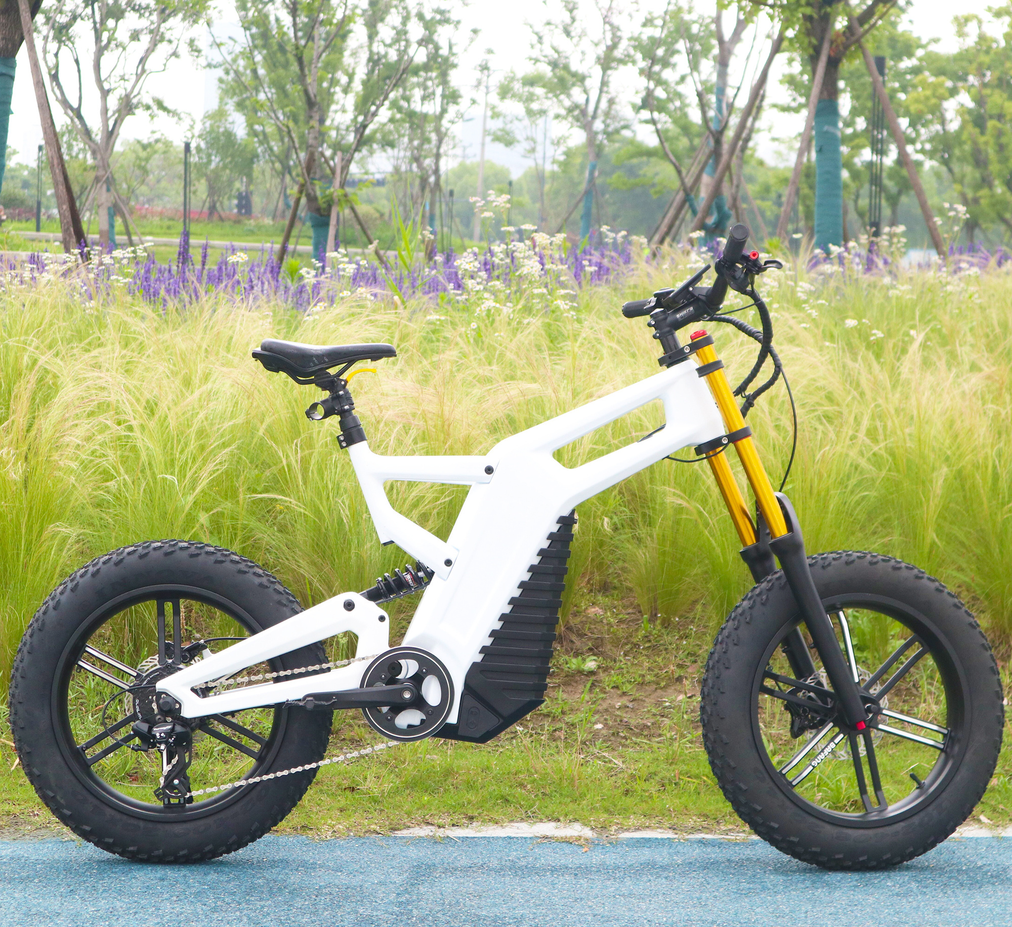 Fatbike Electrica 1000/3000W Vintage Electric Motorcycle Hot Sale 24.5Ah full suspension Carbon electric bike fat tires bike