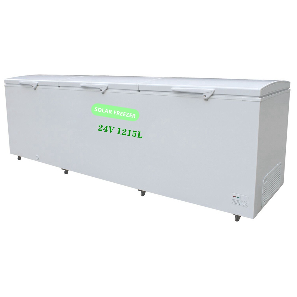 Good Quality OEM Solar and Battery Powered 12V 24V DC Refrigerator Solar DC Freezer ,Solar Fridge(BD-165)