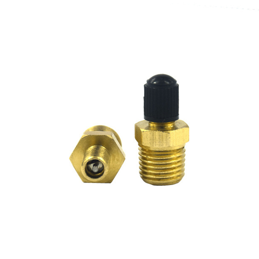 Hot Selling1/4 1/8 Inflation Brass Schrader Valve for Air Line Tubing NPT Copper Valve