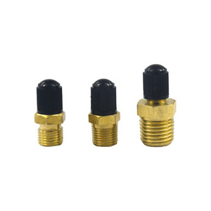 Hot Selling1/4 1/8 Inflation Brass Schrader Valve for Air Line Tubing NPT Copper Valve