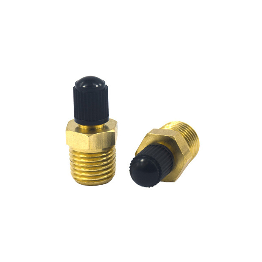 Hot Selling1/4 1/8 Inflation Brass Schrader Valve for Air Line Tubing NPT Copper Valve