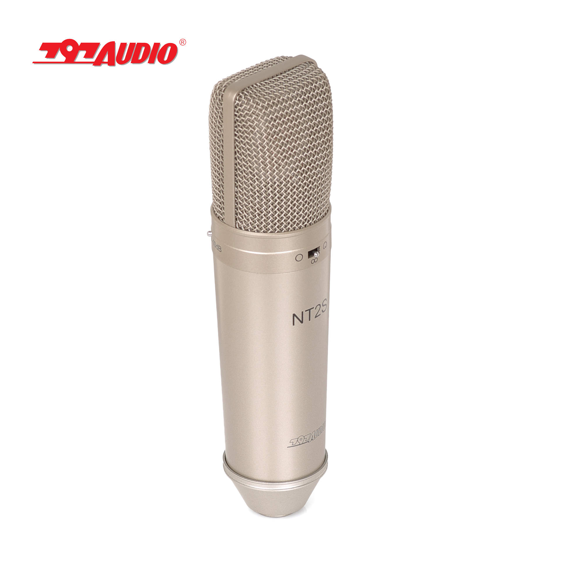 797AUDIO ACR01 Large Diaphragm XLR Noise Canceling Electret Condenser Microphone Gold Metal Wired 48V Singing Speaker Mic Kids