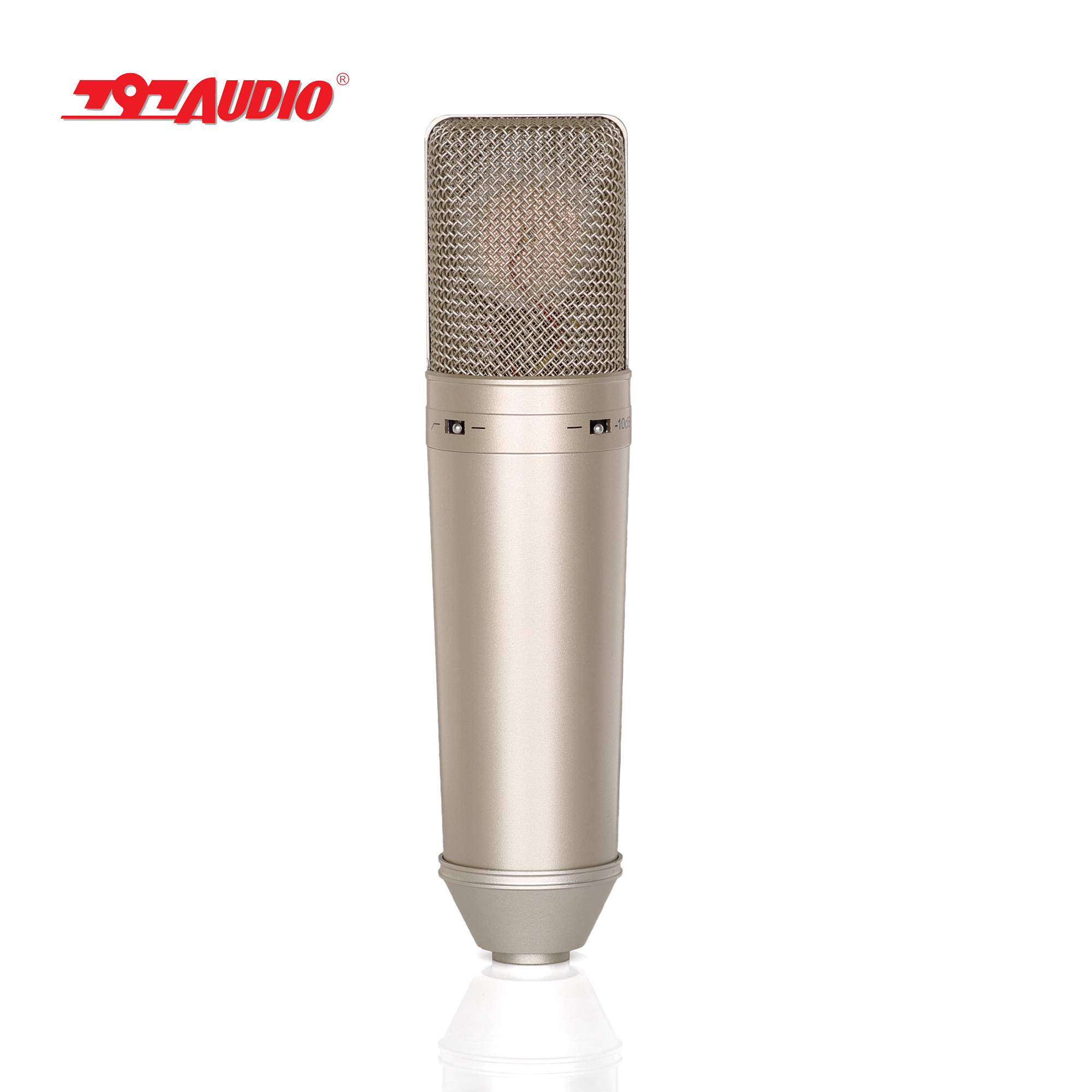 797AUDIO ACR01 Large Diaphragm XLR Noise Canceling Electret Condenser Microphone Gold Metal Wired 48V Singing Speaker Mic Kids