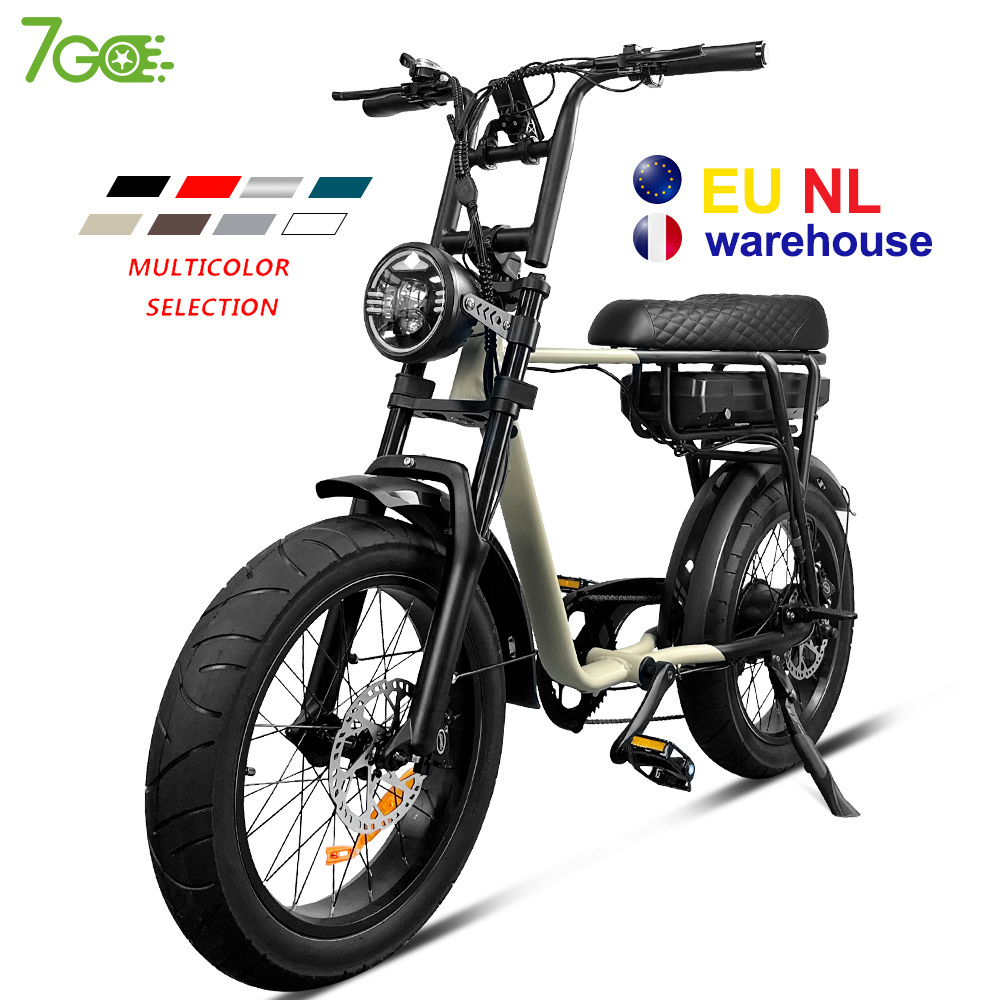 7Go EB4 EB2 fatbike bike EU warehouse Mountain E-bike Super Fat Tire 250W Electric fatbike go fast bike electric bicycle