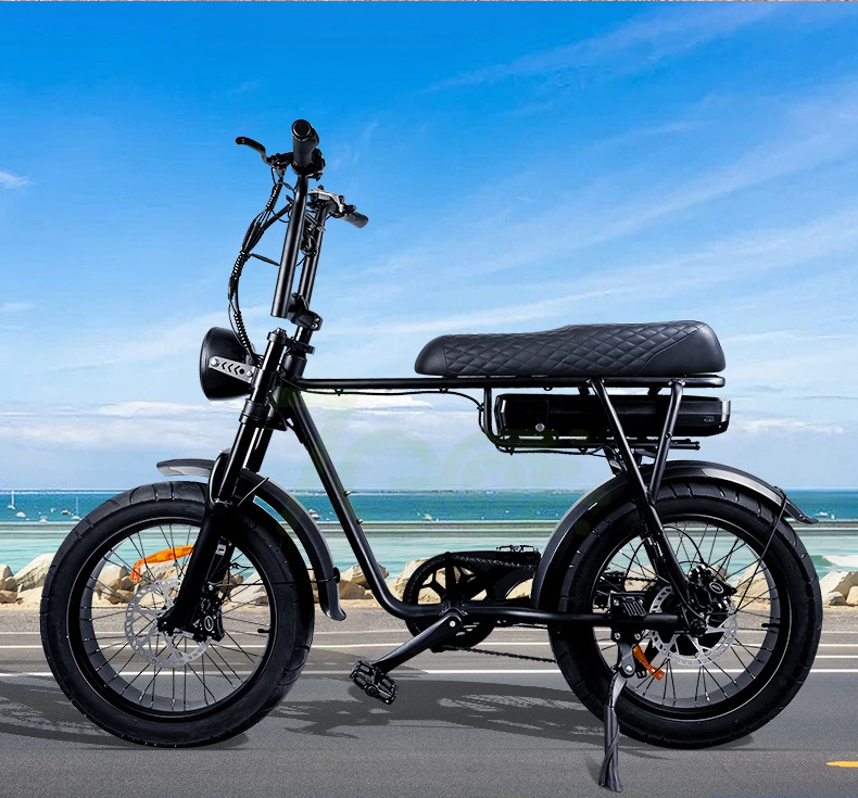 EB4 EB2 Fat tire electric bike Us Eu Uk Ca warehouse E-Bike 750W 1000W Electr Off-Road City step over Ebike fat bike electric