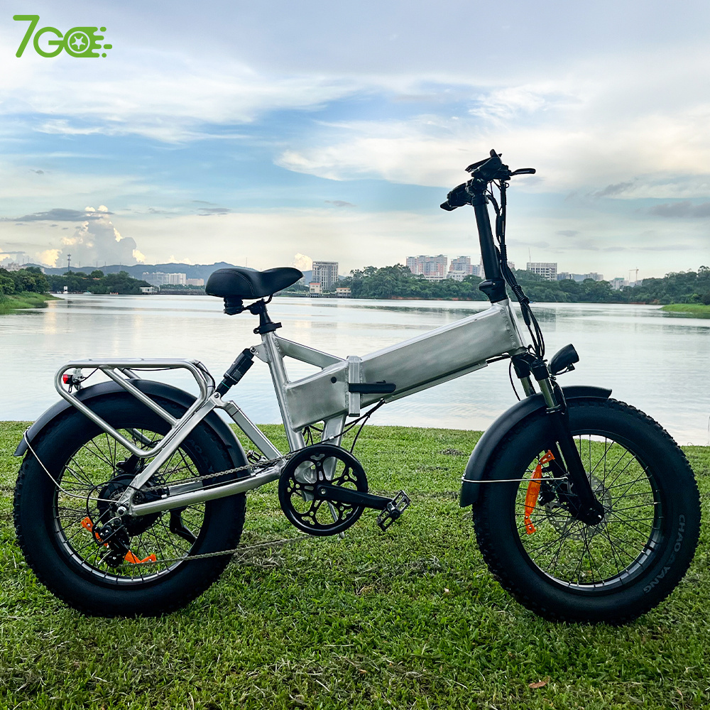 Eu Us Ca Uk Warehouse Sell Velo Electrique Adults City Off Road Bicycle 500W Dual Motor 20 Inch Fat Tire Folding Electric bike