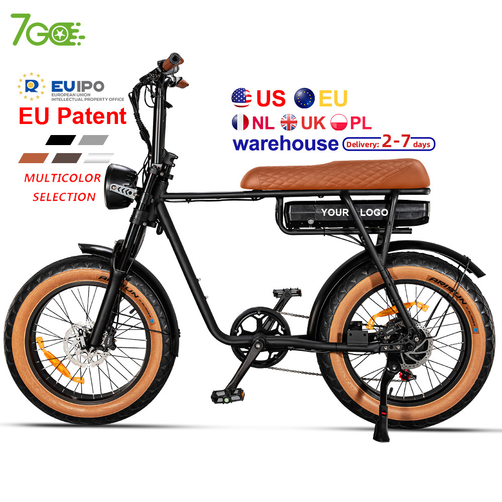 EU  USA warehouse e-bike 750W 1000W Fat tire  Electric Mountain Bike for Adult  Dirt Electric bicycle