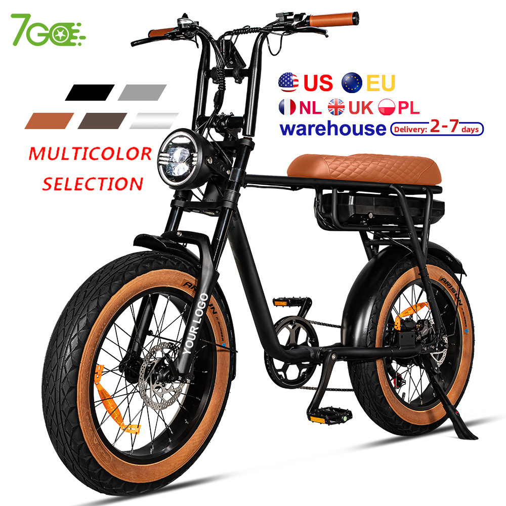 EU  USA warehouse e-bike 750W 1000W Fat tire  Electric Mountain Bike for Adult  Dirt Electric bicycle