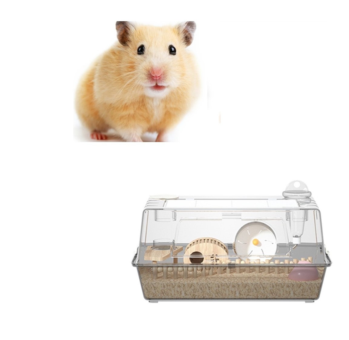 Acrylic Guinea Pig House for Hamster Hammock Rat Chinchilla Gerbil With Water Bottle