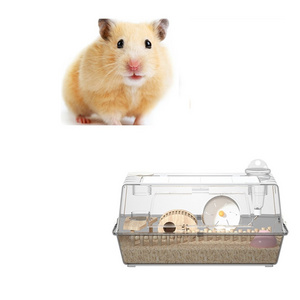 Acrylic Guinea Pig House for Hamster Hammock Rat Chinchilla Gerbil With Water Bottle