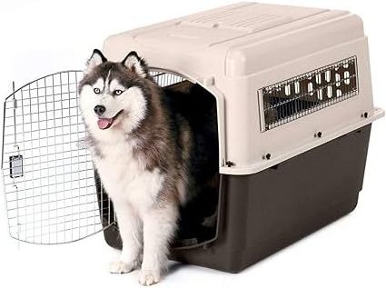 Portable Airline Approved Top-load Pet Kennel Cats Travel Cage Plastic Dog Cat Travel Carrier