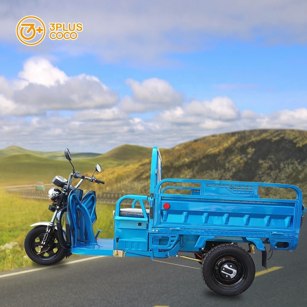 Hot Selling 1000W Tricycle Motorcycle 3 Wheels Electric Tricycles EU Warehouse Cargo Tricycle For Adult EEC COC