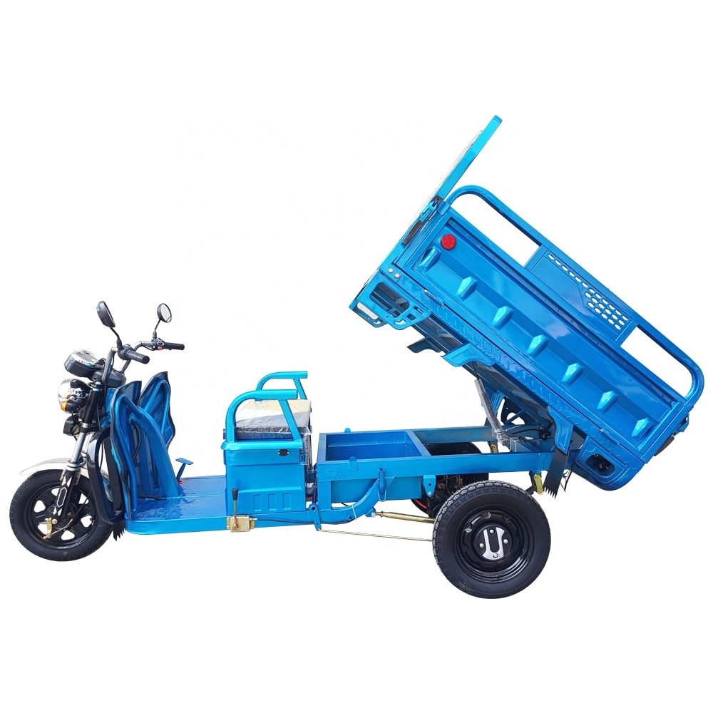 Hot Selling 1000W Tricycle Motorcycle 3 Wheels Electric Tricycles EU Warehouse Cargo Tricycle For Adult EEC COC