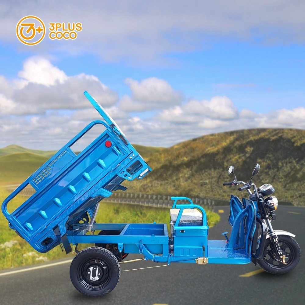 Hot Selling 1000W Tricycle Motorcycle 3 Wheels Electric Tricycles EU Warehouse Cargo Tricycle For Adult EEC COC