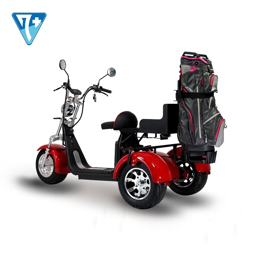 Super Load Electric Tricycles Fat Tires 2000W Electric Tricycles With 8 Inch 10 Inch Wheel