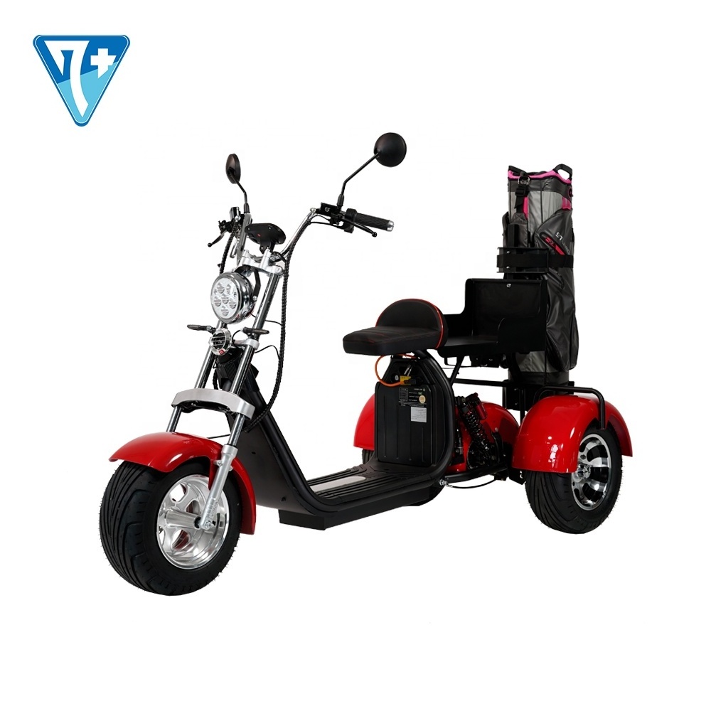 Super Load Electric Tricycles Fat Tires 2000W Electric Tricycles With 8 Inch 10 Inch Wheel