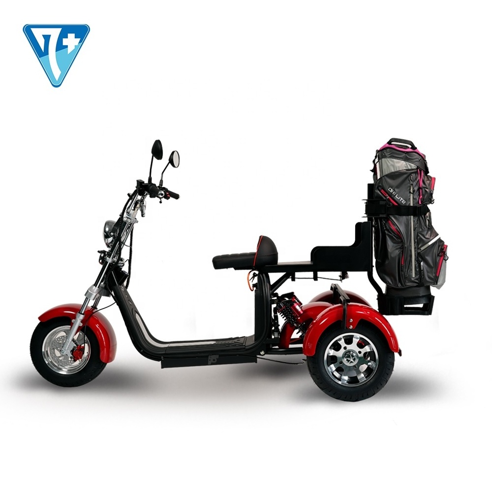 Super Load Electric Tricycles Fat Tires 2000W Electric Tricycles With 8 Inch 10 Inch Wheel