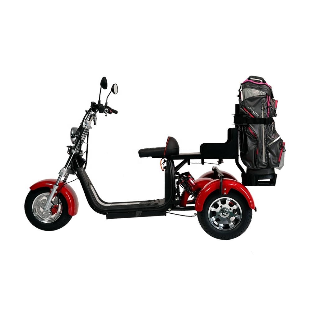 Super Load Electric Tricycles Fat Tires 2000W Electric Tricycles With 8 Inch 10 Inch Wheel