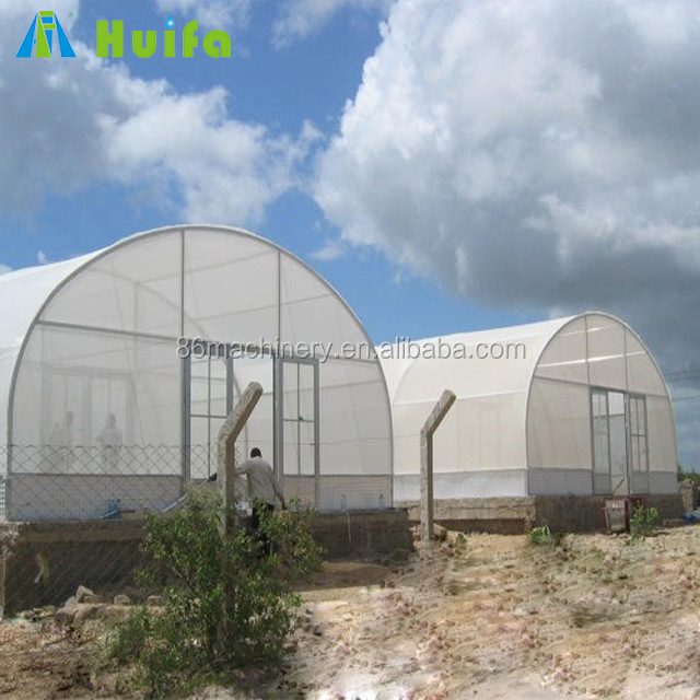 Tomato Tunnel Plastic Film Hydroponics Commercial Mini Agricultural Greenhouses for Sale