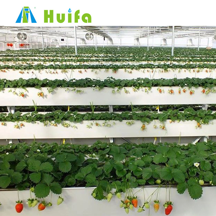 Smart Vertical Farming Shipping Container Grow Room Full Auto Greenhouses Strawberries Plants Hydroponic Growing Systems