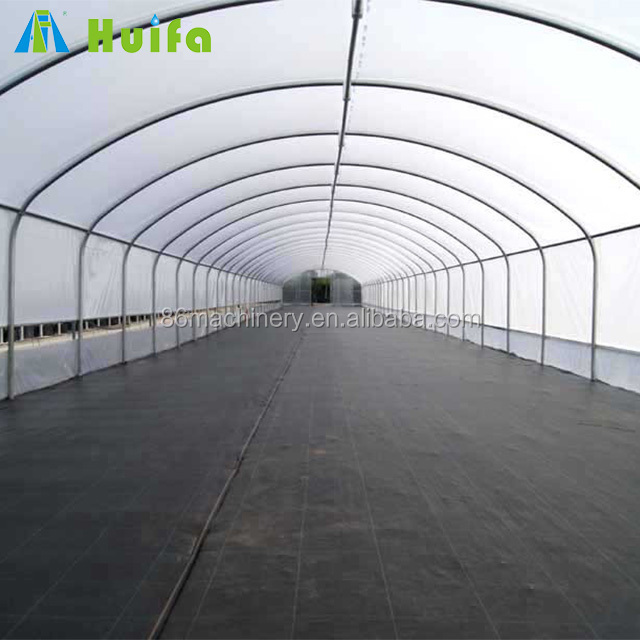 Tomato Tunnel Plastic Film Hydroponics Commercial Mini Agricultural Greenhouses for Sale