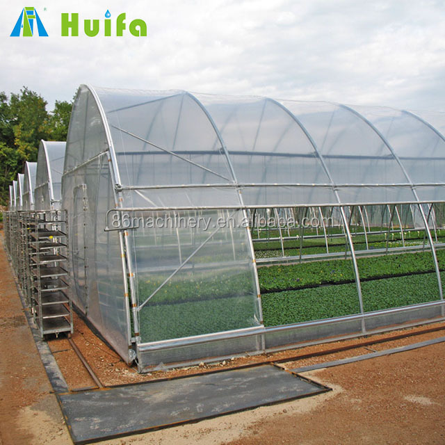 Tomato Tunnel Plastic Film Hydroponics Commercial Mini Agricultural Greenhouses for Sale