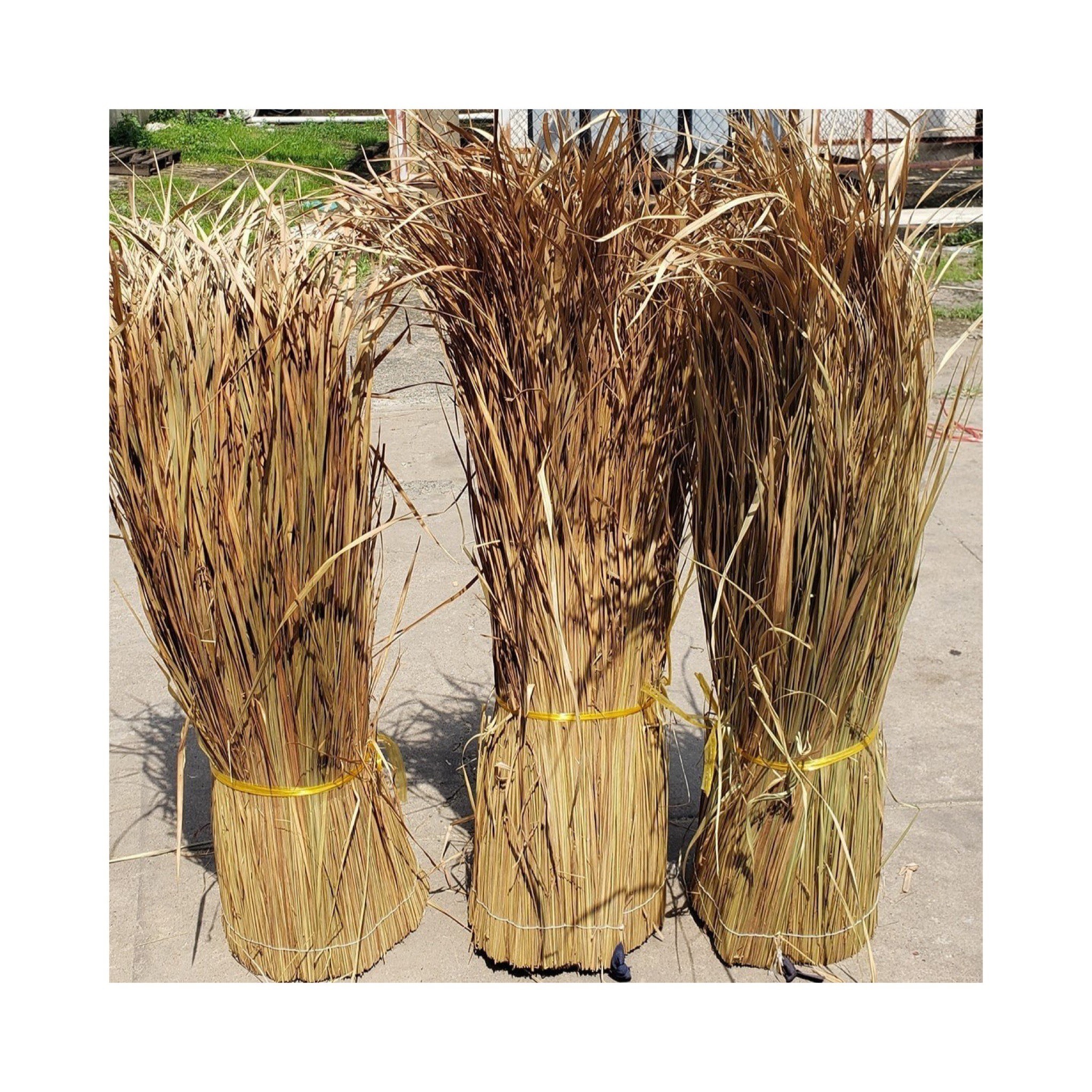 TROPICAL STYLE TYPE OF ROOFING - DRIED GRASS THATCH TOP COVERING FROM VIETNAM ELYSIA 0084789310321