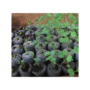 For Planting Horticulture Seed Starters Jiffy Coco Peat Pellet Coir Disc Peat For Planting From Vietnam