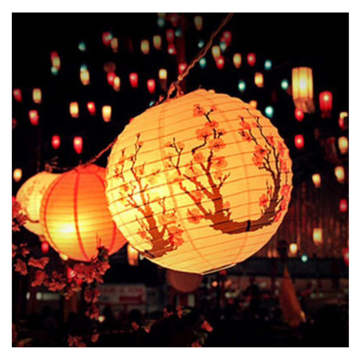 Vietnam Lantern Silk Bamboo Lantern Use As Gifts Souvenir Lanterns Wedding Decorations