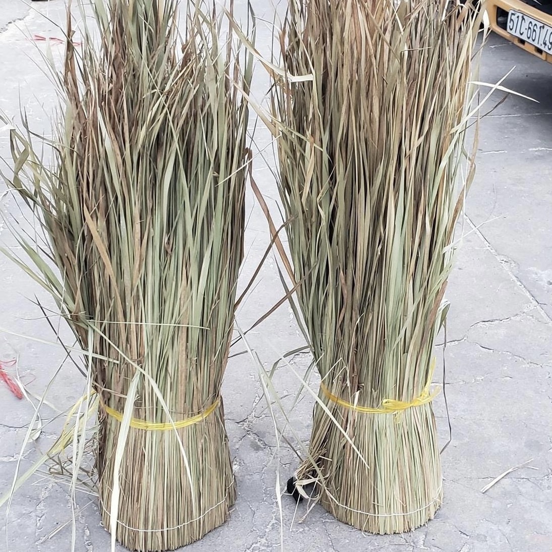 Building material from Vietnam Thatch Tile For Grass Roof Outdoor Courtyard Wholesale In Bulk