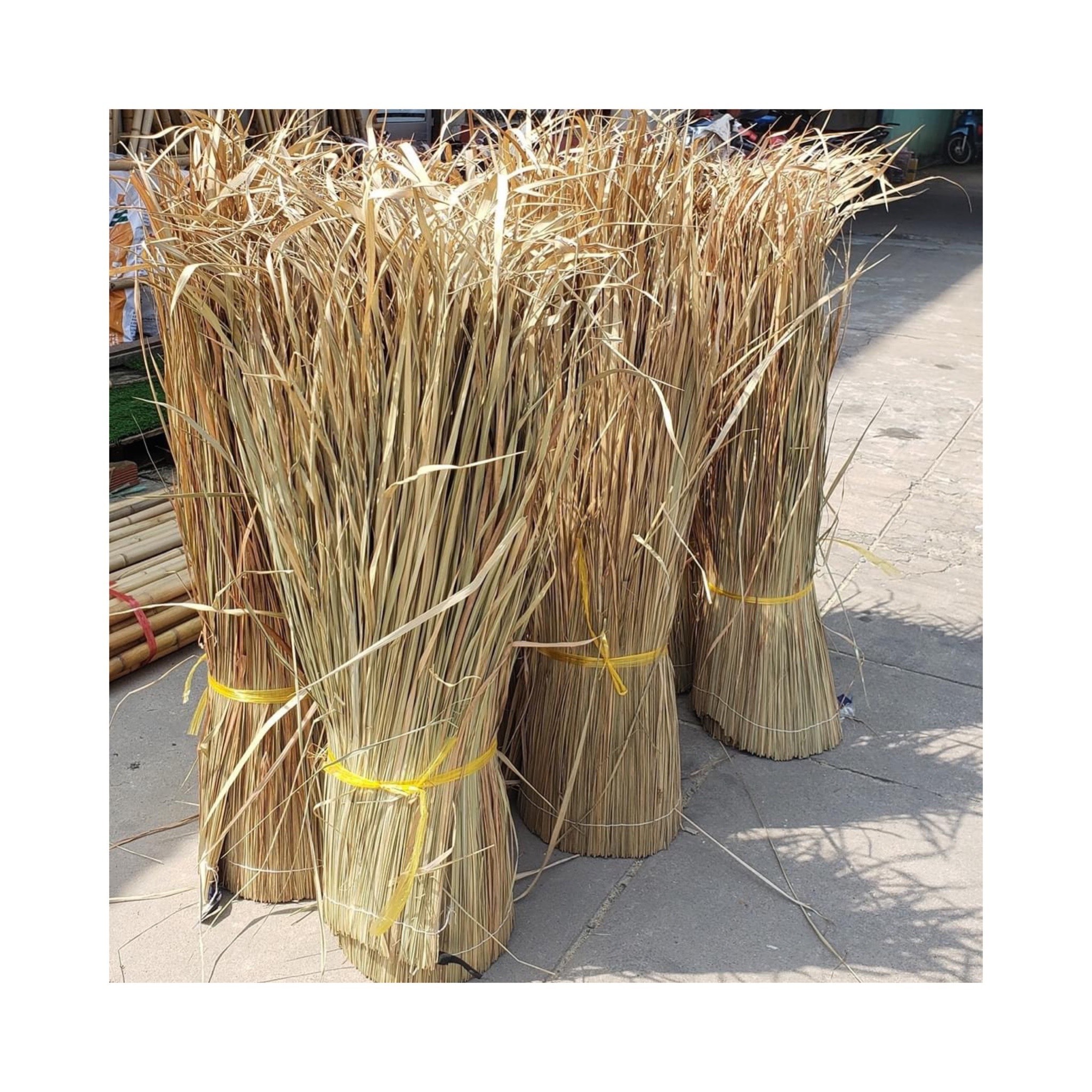 Building material from Vietnam Thatch Tile For Grass Roof Outdoor Courtyard Wholesale In Bulk