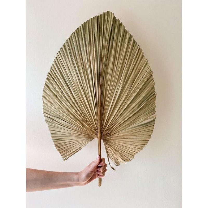 Handmade Items Palm Tree For House Furniture with very cheap price made in Vietnam