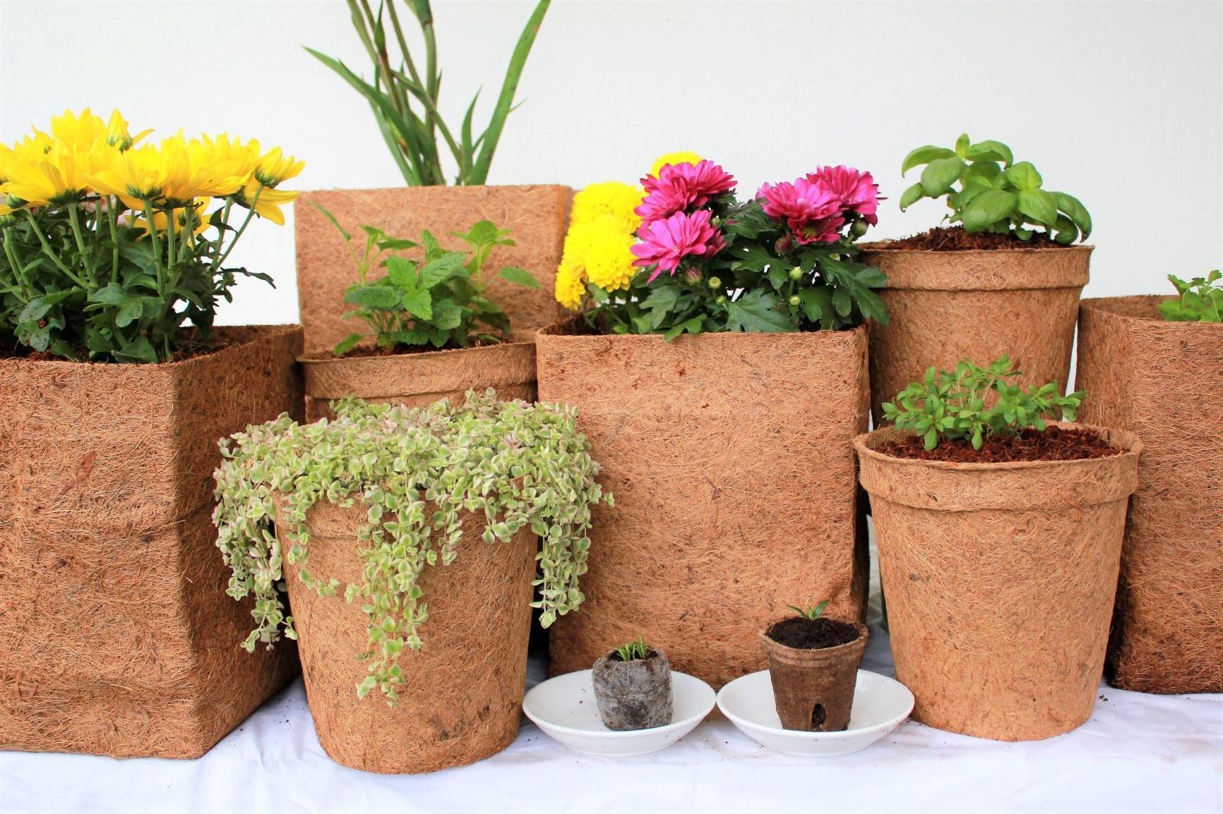 Plant Pot Metal Flower Green Customized - Coconut Coir Pot 100% Fiber natural From Viet Nam