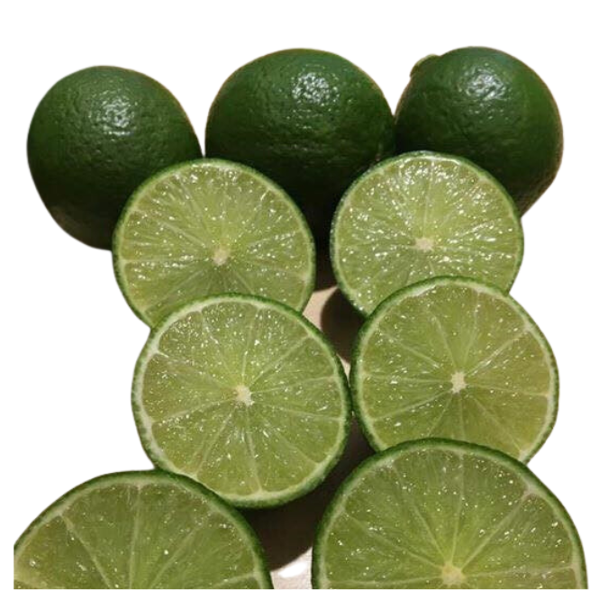 Fresh Lime/ Green Seedless Lemon With Premium Quality Best Price/ Vietnam Lemon Top Supplier Dried Lemon Sliced New Crop 2024