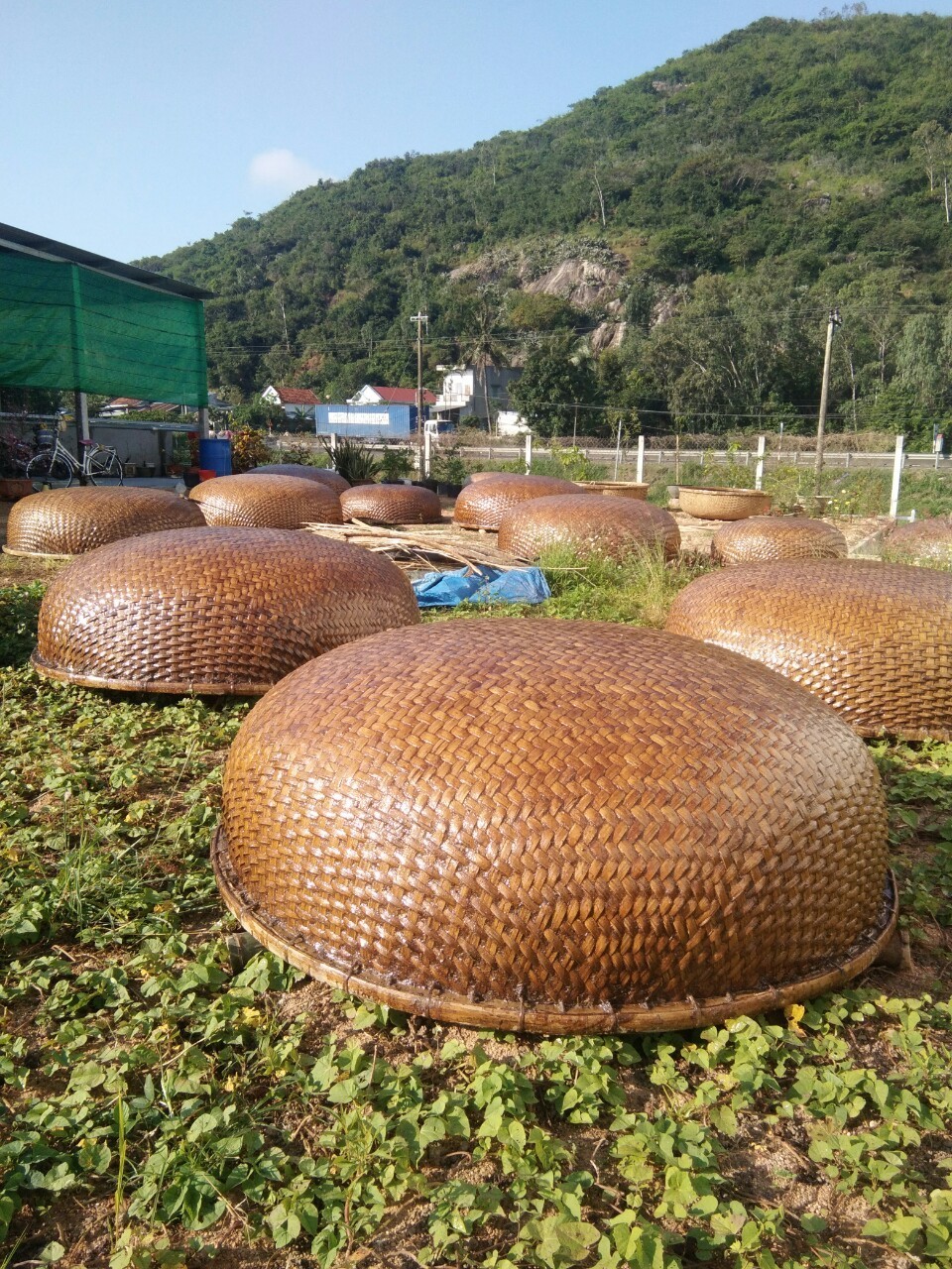 Very Cheap Price Round Bamboo Coracle Basket Boat With Paddles from Vietnam