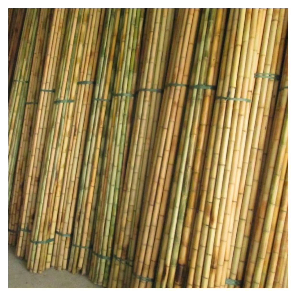 Eco-Friendly Multifunctional Dry Bamboo Tube Natural Furniture Making Material Raw Bamboo Pole 99GD