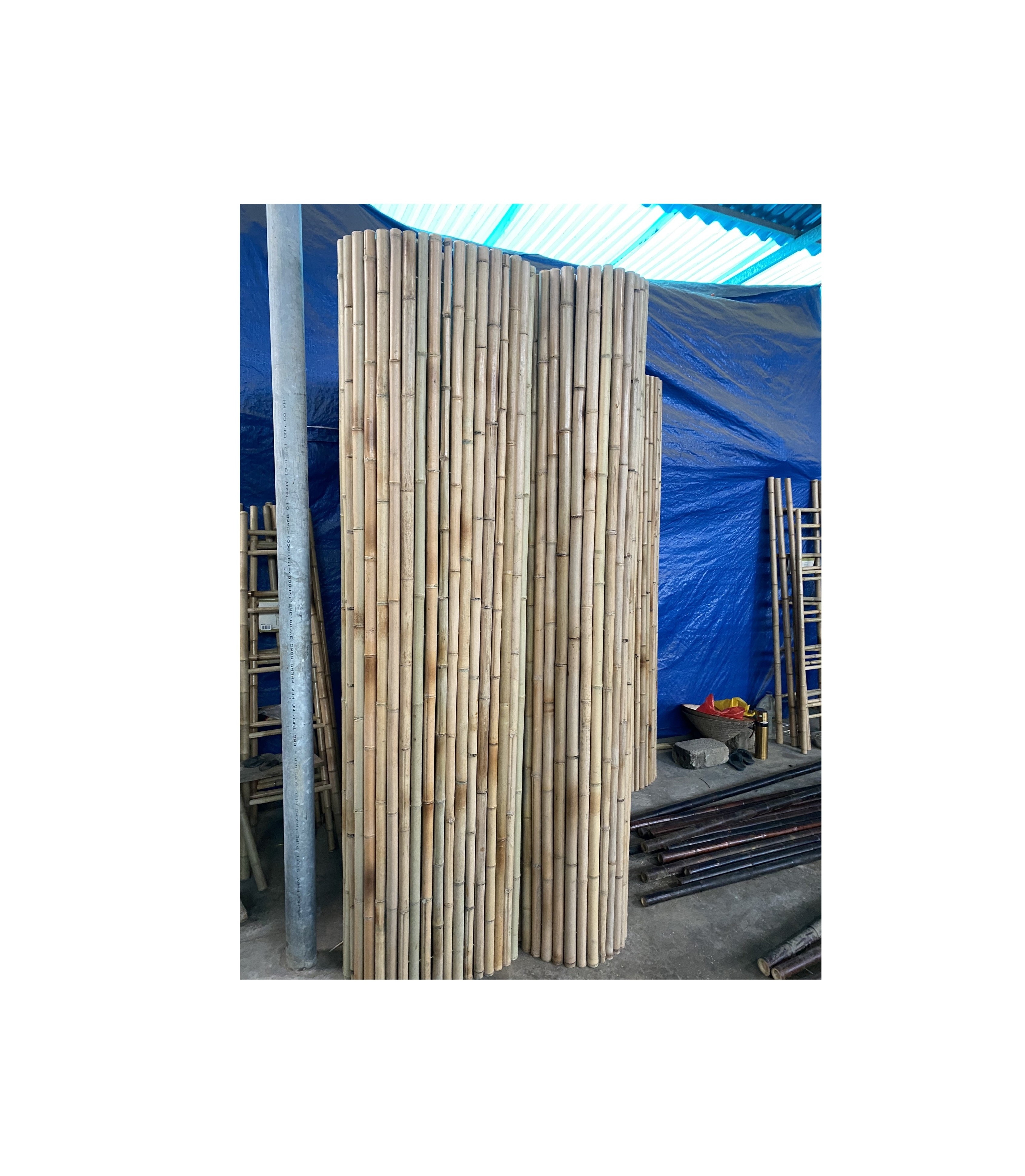 Bamboo Garden Fence Rolls Panels Bamboo Bamboo Cane White and Black Fence Wood WESTERN Piano Frame Agriculture NURSERY Color Eco