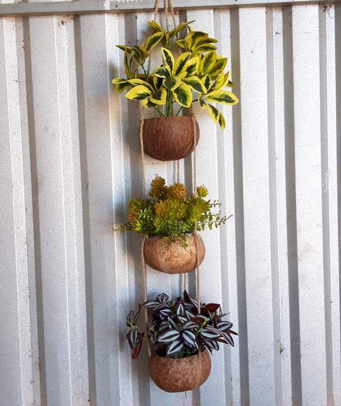 Wholesale Coconut Planters Coconut Shell Plant Hanger From Viet Nam Coconut Shell Pots