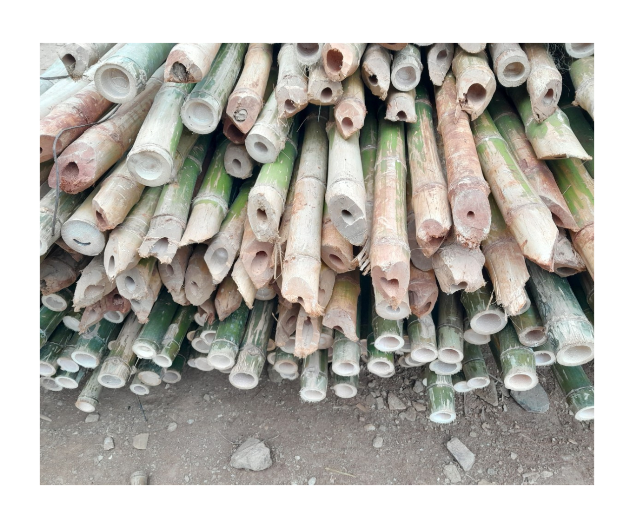 Factory Wholesale Cheap Price Natural Artificial Bamboo Poles for Indoor Outdoor Decoration