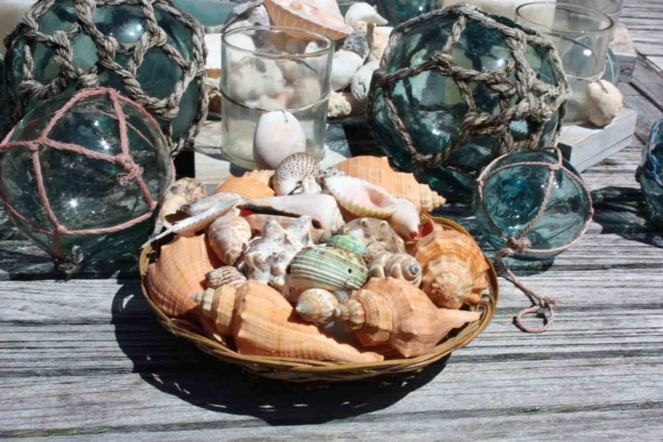 Large Seashell Basket Beach Tray With Seashells Serving Tray Assorted Crafts Shell Mixed Assortments Natural Gifts From Ocean