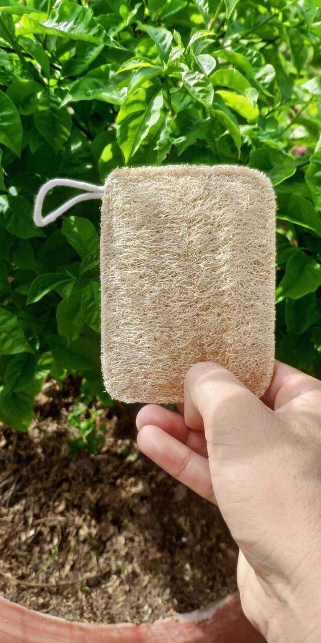 Wholesale skin exfoliating loofah sponge shower foot scrub bath massage luffa loofah pad from Vietnam with Good Price