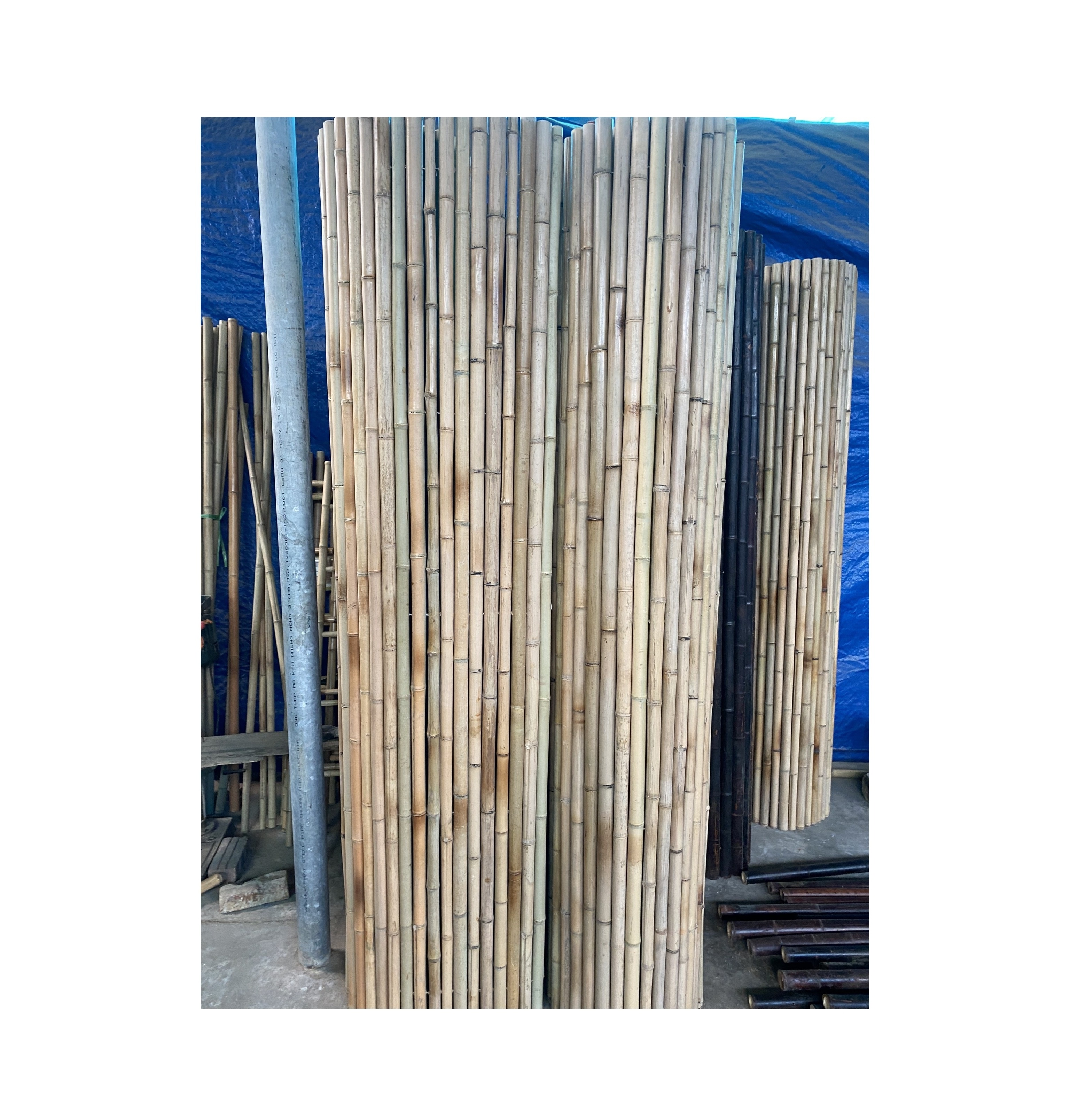 High quality Natural Bamboo Fence 8ft X 8ft / Black bamboo garden buildings /Large and Extra-Large Bamboo poles material