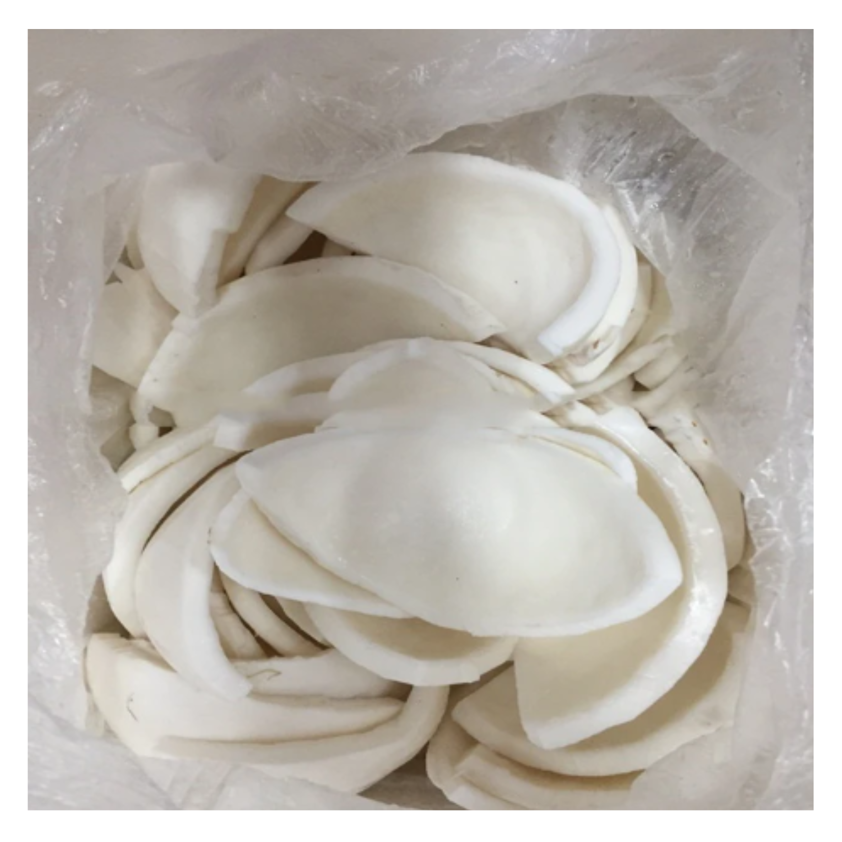 Factory Wholesales FROZEN COCONUT MEAT- Buy Coconut meat product from Vietnamese Manufacturer