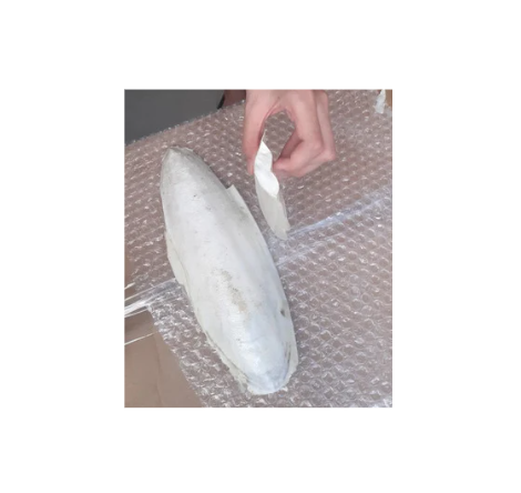 Ranova High Quality Dry Cuttlefish Bone natural squid dried in the sun/Cuttlebone 100% Natural Cuttlefish Bone From Vietnam