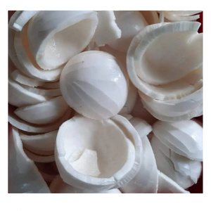 Frozen Coconut Young Tender Coconut Meat from Vietnam Peeled Coconut Meat Organic For Making Cream