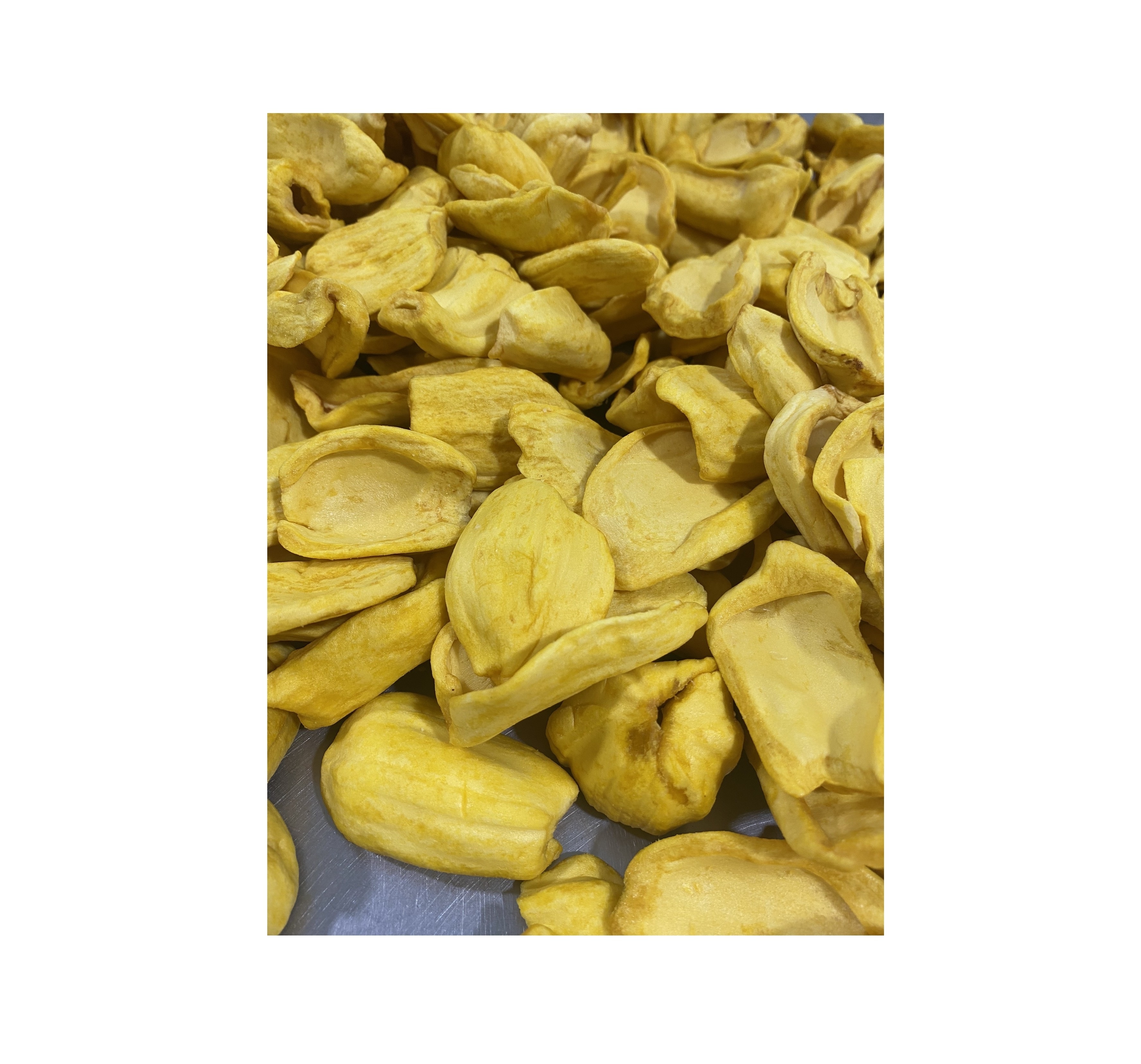 Best price Freeze-Dried Jackfruit in Tinned Can Gift Packing Mason Jar Vacuum Packed Dried Fruit and Vegetables 0084587176063