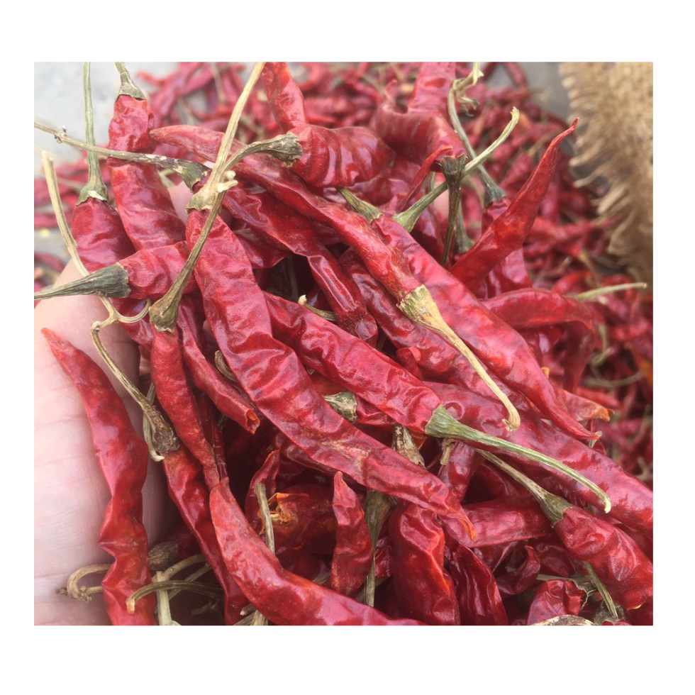 Top Products 100% Pure Dried Chili Best Natural Dried Red Chili Factory Price Top Quality Dried Red Chili From 99 Gold Data