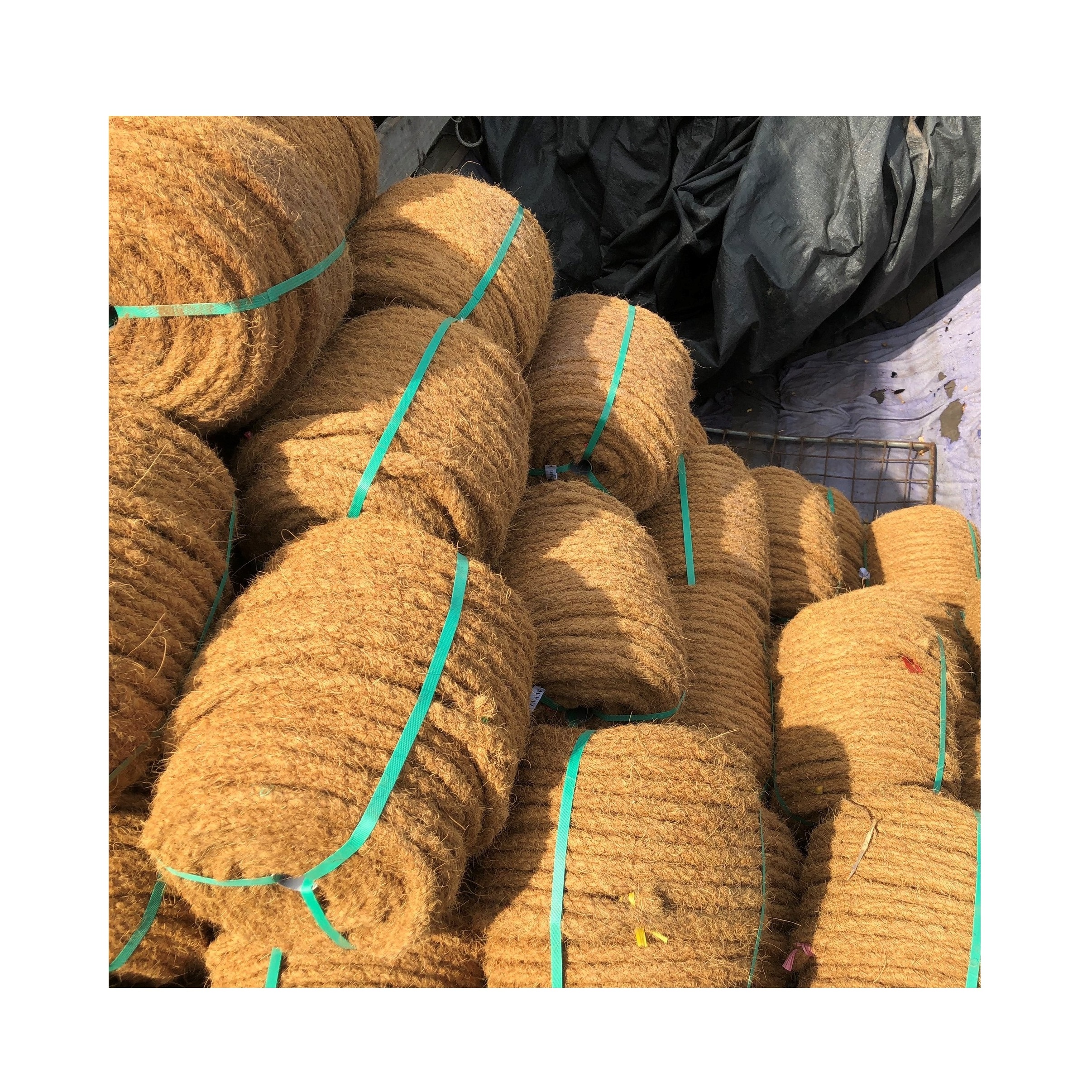 Eco Friendly Coco Rope Coconut Fibre Rope Various Size Durable And Strong With Competitive Price From Vietnam 99 Gold Data 99GD