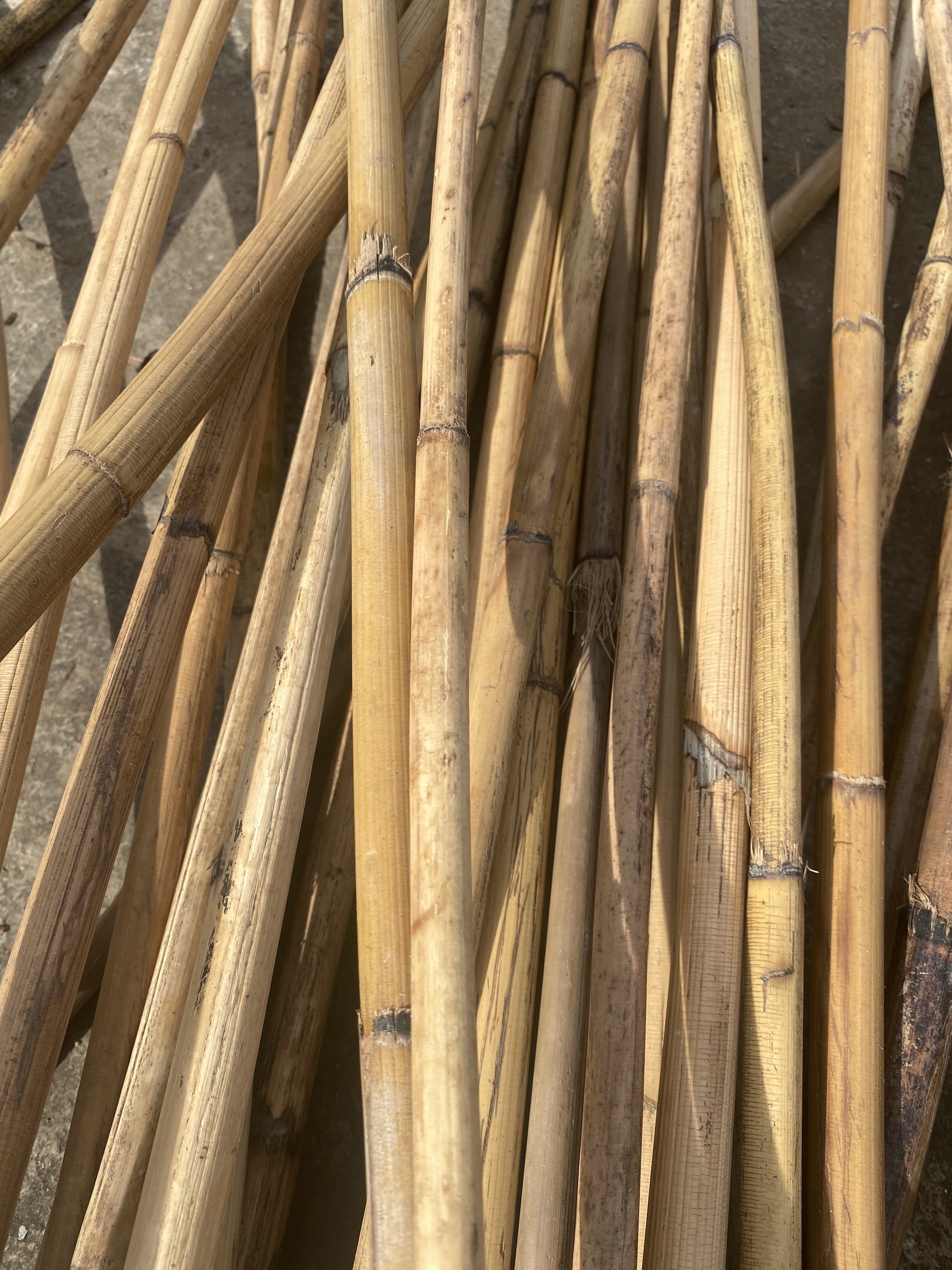 Natural rattan poles straight rattan manau cane for making furniture and painter best price for wholesale